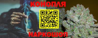 apvp Партизанск
