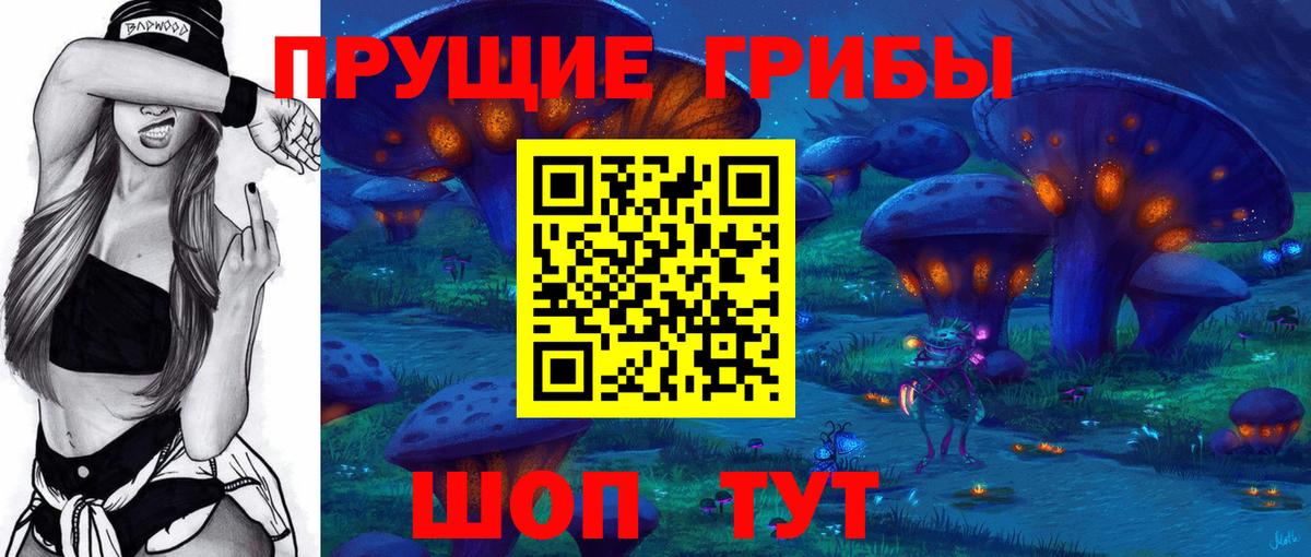 Астрахань  Псилоцибиновые грибы Cubensis  Вход с VPN 